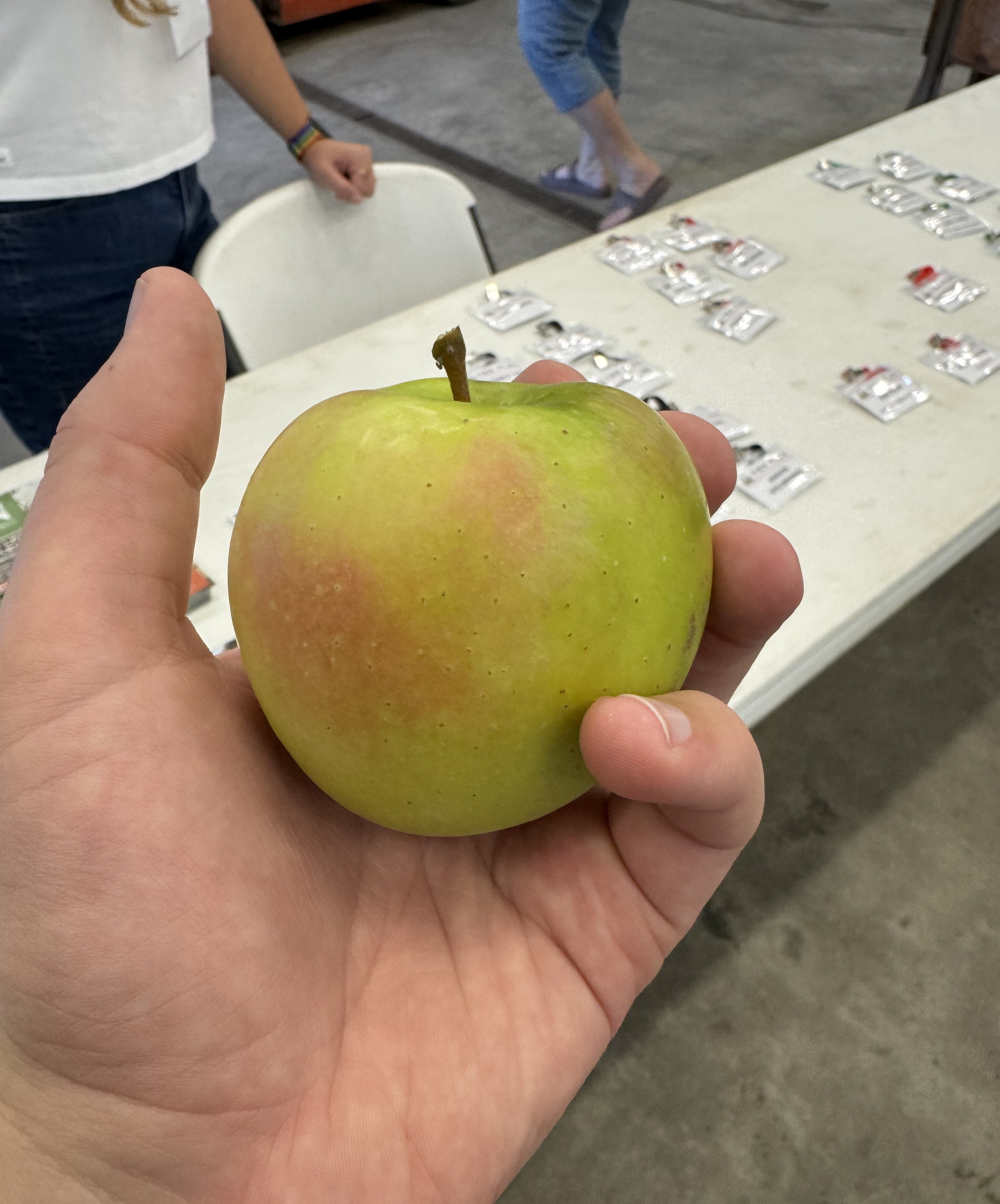 Apple_Smeralda_SWMREC_Sep11_2026 - correct.jpeg
